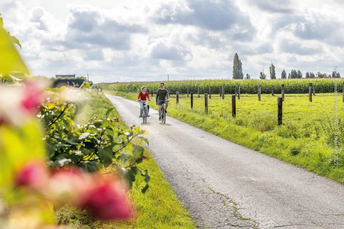 fietsen tielt